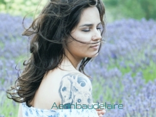 Aerinbaudelaire