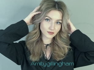 Amitygillingham
