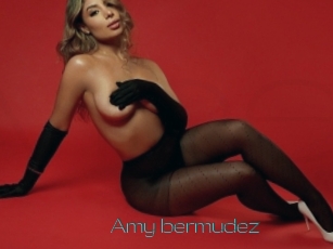 Amy_bermudez