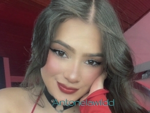 Antonelawildd