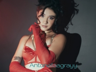 Antonellaagrayy