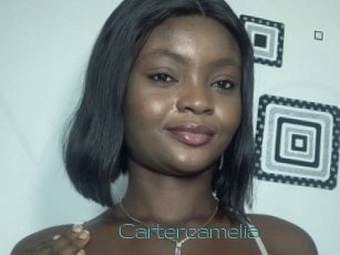 Cartercamelia
