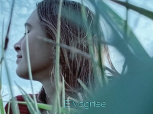 Elvagrise