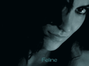 Feline