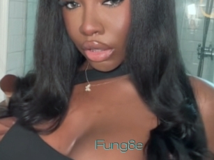 Fung8e
