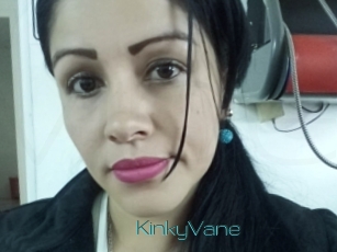 KinkyVane