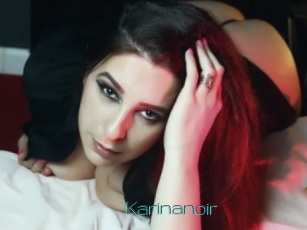 Karinanoir