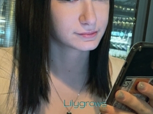Lilygrows