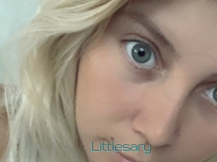Littlesary