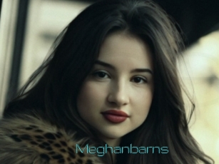 Meghanbarns
