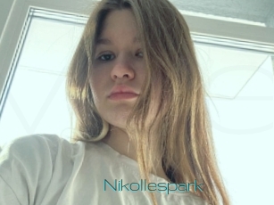 Nikollespark