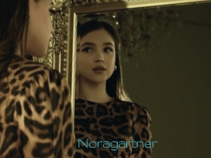 Noragartner