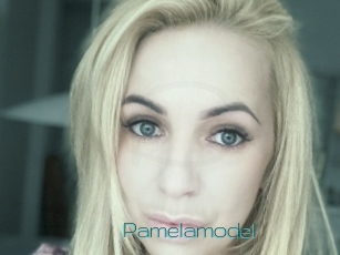 Pamelamodel
