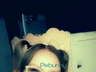 Pixbunny