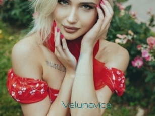 Velunavice