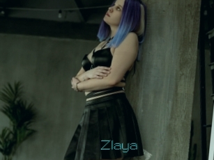Zlaya